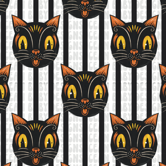Let’s get spooky kitty